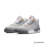 Pandabuy Air Jordan 3 Retro 'Cool Grey' 2021