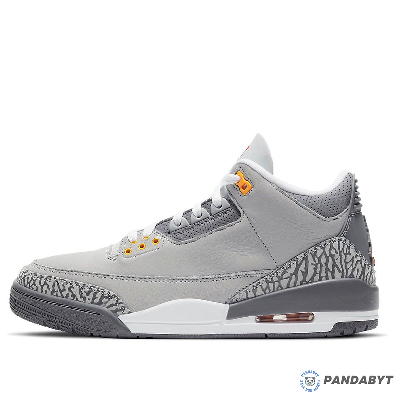 Pandabuy Air Jordan 3 Retro 'Cool Grey' 2021