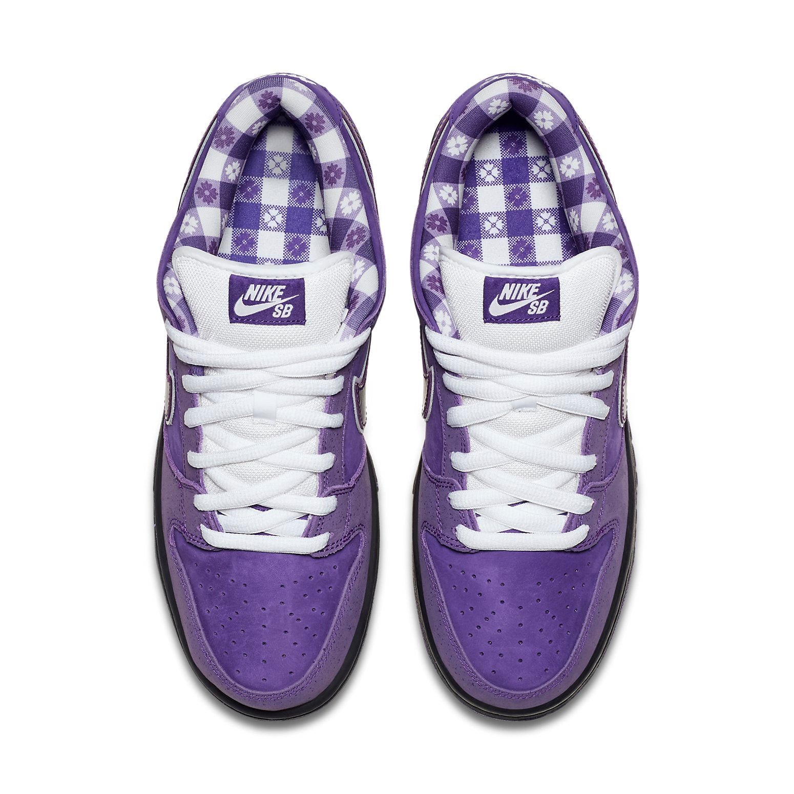 Nike X Concepts Sb Dunk Low 'Purple Lobster'