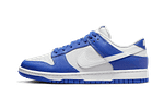 Dunk Low Kentucky Alternate