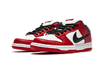 SB Dunk Low Pro Chicago