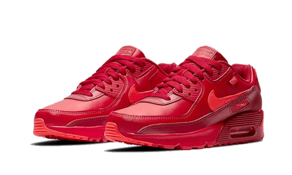 Air Max 90 Chi-City Special