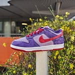 Dunk Low Plum