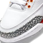 Air Jordan 3 Retro 'Cardinal Red'