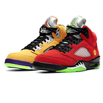 Air Jordan 5 Retro SE 'What The'