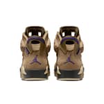 Air Jordan 6 Retro GORE-TEX 'Brown Kelp'