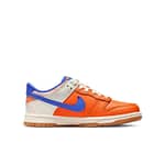 Nike Dunk Low 'Everything You Need'