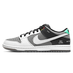 Nike Dunk Low SB 'Camcorder'