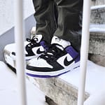 Nike Dunk Low SB 'Court Purple'