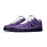 Nike x Concepts SB Dunk Low 'Purple Lobster'