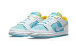 SB Dunk Low Pro FTC