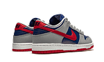 Dunk Low Samba (2020)