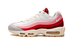 Air Max 95 Anatomy of Air