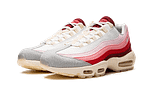 Air Max 95 Anatomy of Air