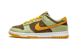 Dunk Low Olive Brown Orange