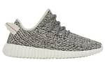 Adidas Yeezy Boost 350 'Turtle Dove'