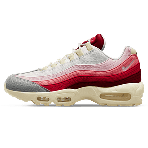 Nike Air Max 95 'Anatomy Of Air'