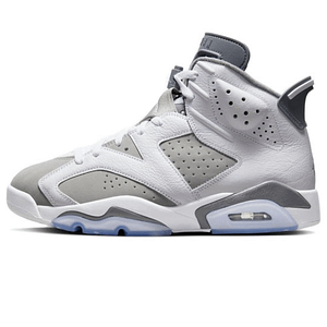 Air Jordan 6 Retro 'Cool Grey'