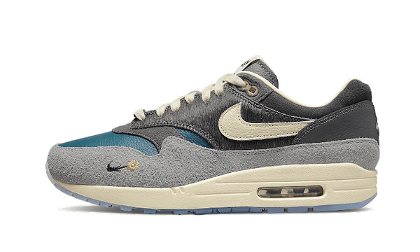 Air Max 1 Kasina Won-Ang Grey