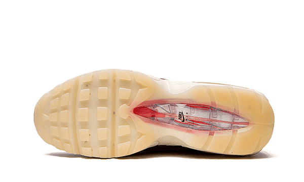 Air Max 95 Anatomy Of Air