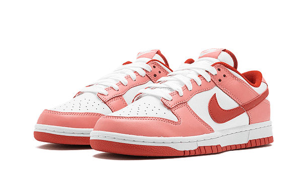 Dunk Low Red Stardust