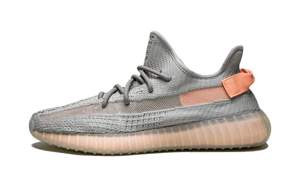 Yeezy Boost 350 V2 True Form