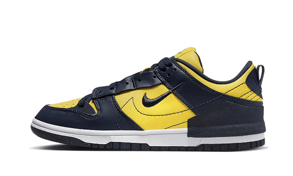 Dunk Low Disrupt 2 Michigan