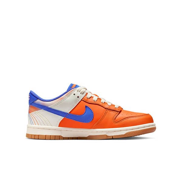 Nike Dunk Low 'Everything You Need'