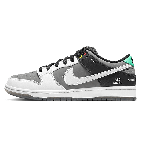 Nike Dunk Low Sb 'Camcorder'