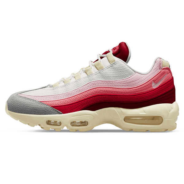 Nike Air Max 95 'Anatomy Of Air'